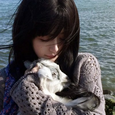 画鸡