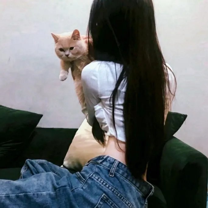 少年师爷之断案传奇